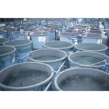 Equipment for Fish Farms