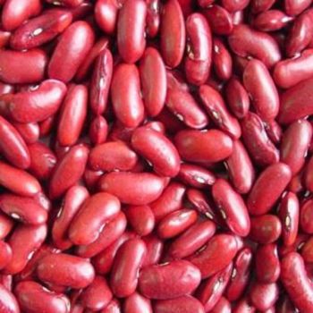 Bio Red Kidney Beans, 8 Eur / kg